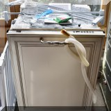 N06. Bosch dishwasher. 